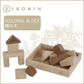 【ふるさと納税】桧のおもちゃ アイコニー 積み木 IKONIH Building Block