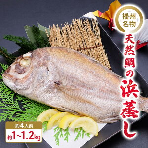 yӂ邳Ɣ[ŁzdB@VR̕l 1kg`1.2kg y4lOz/ j H j L ^C }_C ^