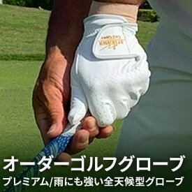 【ふるさと納税】ゴルフ オーダー グローブ プレミアム 雨にも強い全天候型 ゴルフグローブ リピートオーダーもOK ゴルフ用品 オーダーメイド ギフト 父の日 プレゼント 名入れ ネーム 刺繍 雑貨 日用品 兵庫県