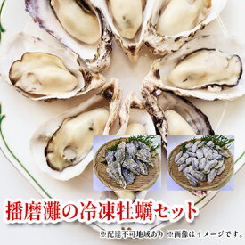 【ふるさと納税】牡蠣 ぷりぷり濃厚！ 播磨灘の冷凍牡蠣 セット 加熱用 殻付かき 12個 むき身かき 50粒前後 魚介 魚介類 海鮮 貝類 生牡蠣 かき 海の幸