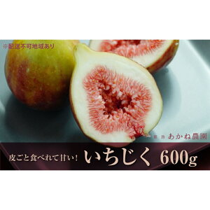 yӂ邳Ɣ[Łzy炲ƐHׂĊÂz˔_uv600g ʕ t[c C`WN ԉ fU[g  Yn @͂F2025N820`2025N1015܂