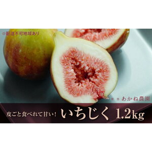 yӂ邳Ɣ[Łzy炲ƐHׂĊÂz˔_uv1.2kg ʕ t[c C`WN ԉ fU[g  Yn @͂F2025N820`2025N1015܂