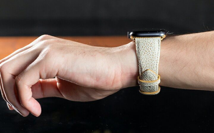 楽天市場】【ふるさと納税】腕時計 バンド 姫路黒桟革 Apple Watch 