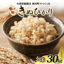 楽天市場】米 30kg 送料無料（品種（米）キヌヒカリ）（食品）の通販
