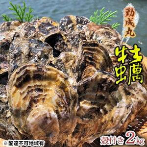 yӂ邳Ɣ[Łzy2026N1菇oח\ΐۂ̉y kty 2.0kg  L y C̍K CN 1Ny ܂ ̂ i ICX^[ @͂F2026N1{`2026