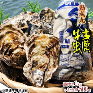 yӂ邳Ɣ[Łzy2026N1菇oח\ΐۂ̉y kty1.0kgƂނg500g̃Zbg  L y C̍K CN 1Ny ܂ ̂ i ICX^[ @͂
