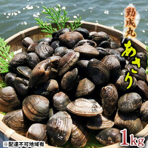 yӂ邳Ɣ[Łzy2026N1菇oח\ΐۂ̂ 1.0kg L C̍K  AT pX^  H ݂`̋ ① Hו Hi @͂F2026N4{`2026N5{