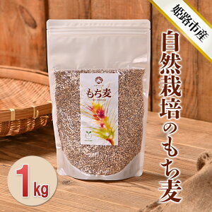 �y�ӂ邳�Ɣ[�Łz���R�͔|�̂������i�_�C�V���`�j1kg ����