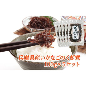 【ふるさと納税】兵庫県産 いかなごのくぎ煮 100g×5セット