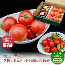 【ふるさと納税】【11月中旬以降順次出荷】ミニセット（もりゑ＆ミニ2種）[ 大玉 とまと ミニ トマト 高糖度 産地直送 野菜 ]　お届け：2025年11月中旬以降お届け