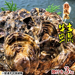 yӂ邳Ɣ[Łzy2026N1菇oח\ΐۂ̉y kty 3.0kg [ y  JL kt Mp ^y Y ] Ɍ PHs@͂F2026N1{`2026N4{