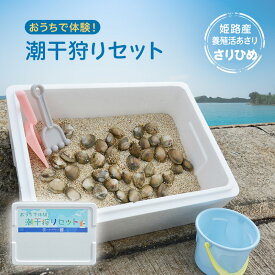 【ふるさと納税】【さりひめ】姫路産 完全国産養殖活あさり　おうちで体験！潮干狩りセット 料理レシピ付き　国産 あさり アサリ 養殖 兵庫県　お届け：2026年2月上旬から2026年4月上旬