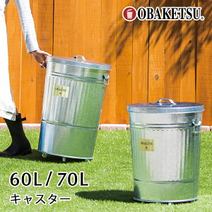 yӂ邳Ɣ[ŁzIoPc60L@Vo[LX^[t@oPc  { ݔ rO Lb` |