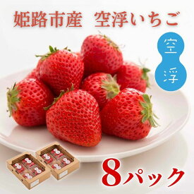 【ふるさと納税】空浮いちご 8パック「北海道・沖縄・離島へのお届け不可」 果物 フルーツ 姫路市産 ハウス育ち デザート おやつ 食後 お菓子作り ケーキ作り　お届け：2026年2月上旬～2026年6月下旬