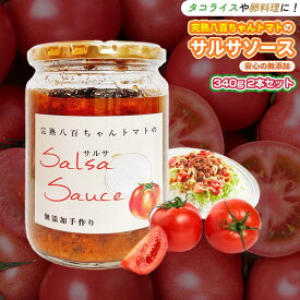 【ふるさと納税】【タコライスや卵料理に！】サルサソース 340g 2本セット｜国産 姫路産 八百ちゃんトマト 着色料・保存料不使用