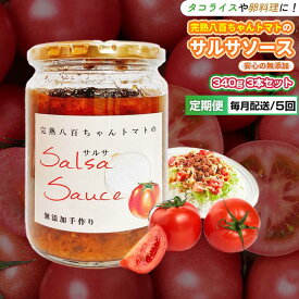 【ふるさと納税】【定期便・全5回】サルサソース 340g 2本セット ×5回｜国産 姫路産 八百ちゃんトマト 着色料・保存料不使用