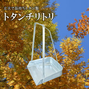 yӂ邳Ɣ[Łzg^`g  i | G pi G | |