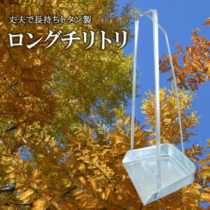 yӂ邳Ɣ[ŁzO`g | G pi G | |