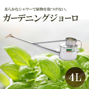 yӂ邳Ɣ[ŁzK[fjOW[ 4L | G pi G K[fjO 