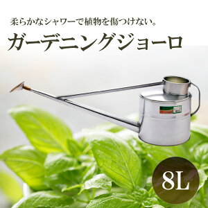 yӂ邳Ɣ[ŁzK[fjOW[ 8L | G pi G K[fjO 