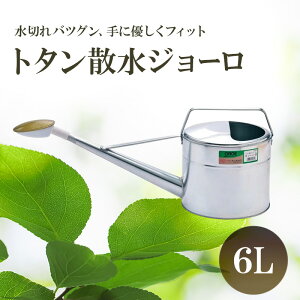 yӂ邳Ɣ[Łzg^UW[ 6L | G pi G K[fjO 