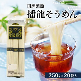 【ふるさと納税】田靡製麺 播龍そうめん 250g×20袋入 兵庫 兵庫県 姫路市