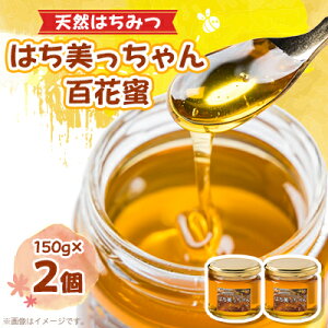 yӂ邳Ɣ[ŁzVR݂͂u͂v@SԖ@150g×2y1364864z