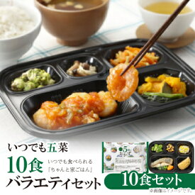 【ふるさと納税】いつでも五菜10食バラエティセット【配送不可地域：離島】【1501653】