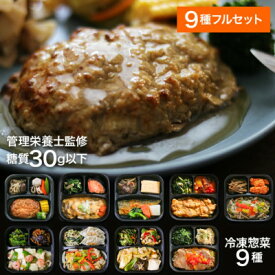 【ふるさと納税】【冷凍惣菜】げんき惣菜9種セット/手作り・管理栄養士監修【配送不可地域：離島】【1545823】