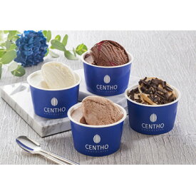 【ふるさと納税】セントー ショコラティエのアイスアソートAH-CT_ アイス アイスクリーム スイーツ デザート ショコラ チョコ カカオ 濃厚 ギフト 贈り物 詰め合わせ 高級 フランボワーズ 送料無料 ふるさと納税 【配送不可地域：離島】【1605009】