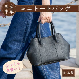 【ふるさと納税】レザーミニトートバッグ [ティエSSサイズ] たつの市産シュリンクエンボスレザー 革製品のHEDGE【配送不可地域：沖縄県】【1736915】