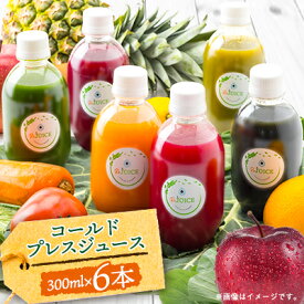 【ふるさと納税】コールドプレスジュース1デイクレンズ6本セット(冷蔵品)【配送不可地域：離島】【1168441】