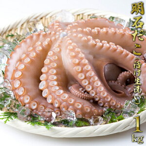 ふるさと納税 タコの人気商品 通販 価格比較 価格 Com
