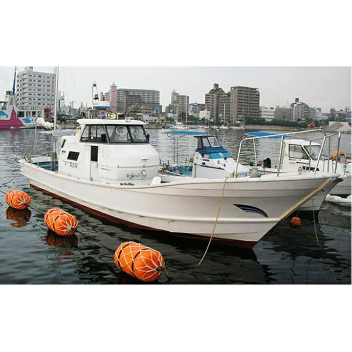 楽天市場 ふるさと納税 リタックル 釣り船 乗船券 釣り チケット 体験 魚釣り 船釣り 明石海峡 朝便 昼便 夜便 マダイ メバル マダイ ハマチ タコ 太刀魚 アオリイカ ガシラ メバル 海のレジャー フィッシング 兵庫県明石市