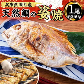 【ふるさと納税】明石産 天然鯛の姿焼(1) 魚貝類