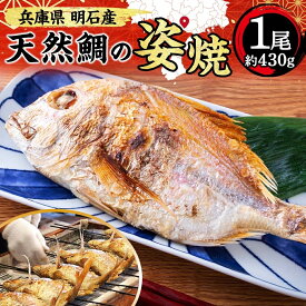 【ふるさと納税】明石産 天然鯛の姿焼(2) 魚貝類