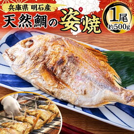 【ふるさと納税】明石産 天然鯛の姿焼(3) 魚貝類