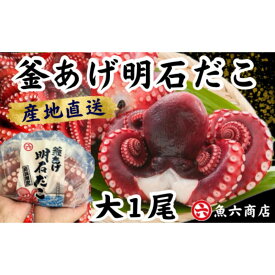 【ふるさと納税】ほんまにうまい 釜あげ明石だこ 大 1尾 たこ 海鮮