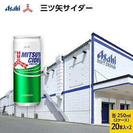 【ふるさと納税】三ツ矢サイダー 缶250ml 40本 (20本入×2ケース)　【飲料類・炭酸飲料】