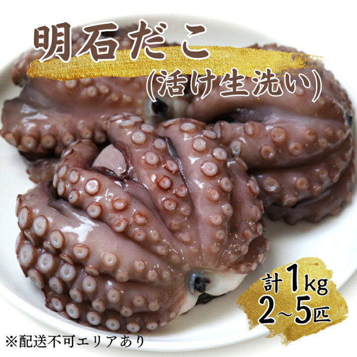 楽天市場 ふるさと納税 明石だこ 活け生洗い 1kg 魚貝類 タコ たこ 蛸 兵庫県明石市 楽天市場 ふるさと納税 明石だこ 活け生洗い 1kg 魚貝類 タコ たこ 蛸 兵庫県明石市