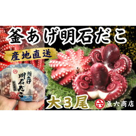 【ふるさと納税】ほんまにうまい 釜あげ明石だこ 大 3尾 魚貝類 タコ 加工食品
