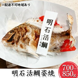 【ふるさと納税】明石活鯛姿焼 700～850g[ 明石鯛 鯛 焼鯛 祝い鯛 お祝い ] 魚貝類 タイ 加工食品 厳選 贅沢 レンジ お鍋 アヒージョ