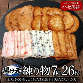 【ふるさと納税】練り物 厳選7種セット（大）[ 蒲鉾 天ぷら 揚げ天 ハセ蒲鉾 ] 加工品 魚 上天 きくらげ しょうが たまねぎ ササ天 たこ天 いか天 つまみ お酒 晩酌 あて おかず 煮物 焼き物