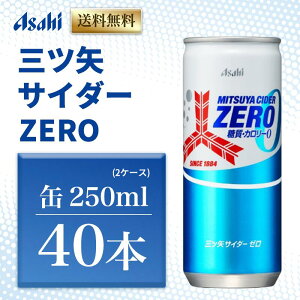 yӂ邳Ɣ[ŁzOcTC_[ZERO 250ml 40{ (20{×2P[X)