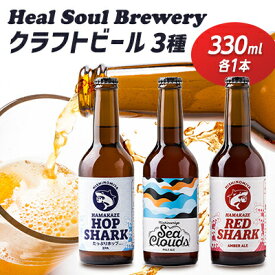 【ふるさと納税】西宮発!Heal Soul Breweryのクラフトビール　アソート3本セット【配送不可地域：離島】【1461955】