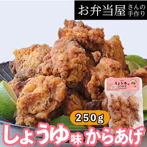 【ふるさと納税】からあげ専門店の大人気冷凍からあげ(4種×各10個入り)