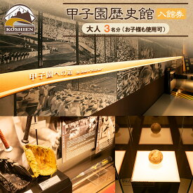 【ふるさと納税】甲子園歴史館の入館券(大人3名分) | 西宮 有名観光地 甲子園歴史館 入館チケット 人気 おすすめ 野球 ミュージアム 観光 スポーツ体験 ギフト お取り寄せ 通販 送料無料 ふるさと納税