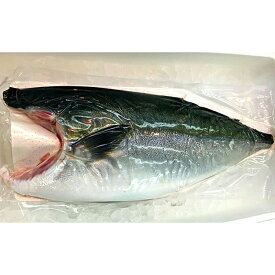 楽天市場 ぶり 一本の通販