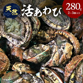 【ふるさと納税】天然 活あわび 280g (2～3個) 活鮑 黒あわび 赤あわび あわび 鮑 貝 貝類 海鮮セット 刺身 お刺身 BBQ バーベキュー 海鮮 冷蔵 淡路島 洲本市