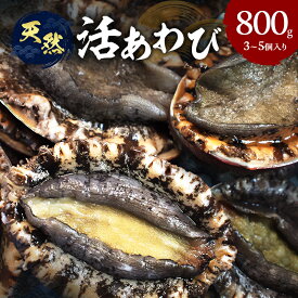 【ふるさと納税】天然 活あわび 800g (3～5個) 活鮑 黒あわび 赤あわび あわび 鮑 貝 貝類 海鮮セット 刺身 お刺身 BBQ バーベキュー 海鮮 冷蔵 淡路島 洲本市